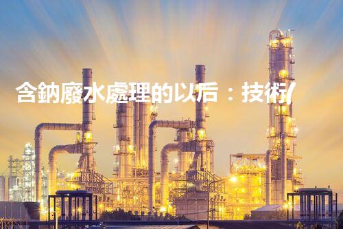 含鈉廢水處理的以后：技術(shù)革新與環(huán)保挑戰(zhàn)！